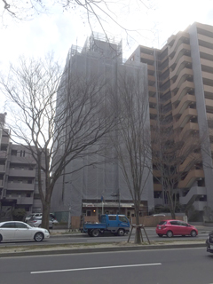 2016_katahira_1_1.jpg