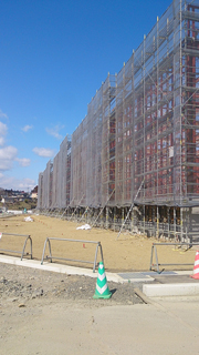 2016_kesennuma_1_1.jpg