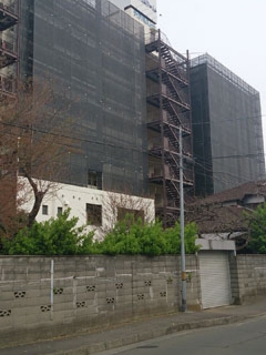2016_kamisugi_2.jpg