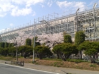 中層足場9